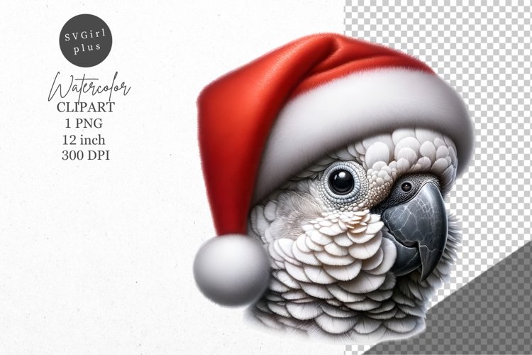Christmas clipart, Cockatoo clipart, Winter sublimation