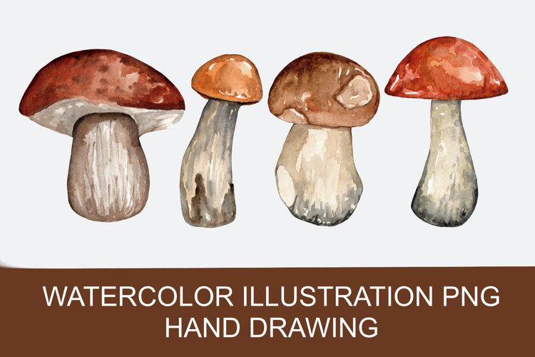Watercolor autumn mushrooms PNG clipart, hand-drawn