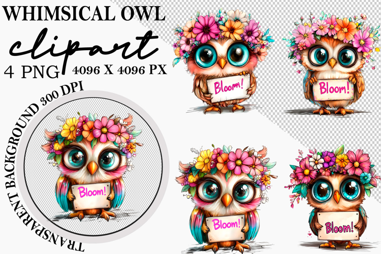 Owl Clipart Image 14