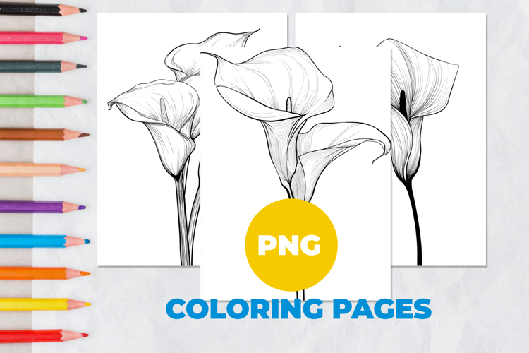 Calla lily flower Coloring Pages | Coloring book
