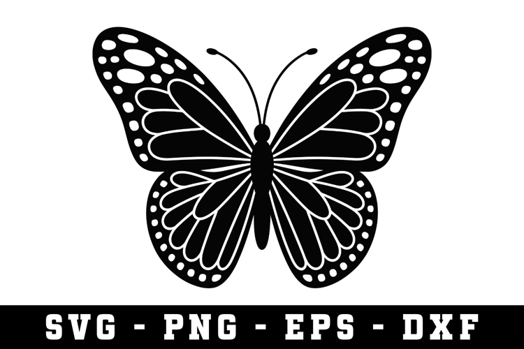 Butterfly SVG | SVG Cut files | Cricut