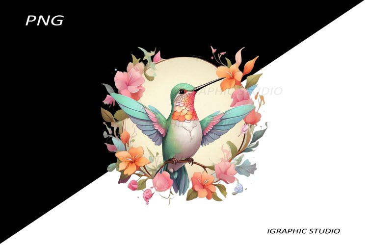 Hummingbird Clipart Image 24