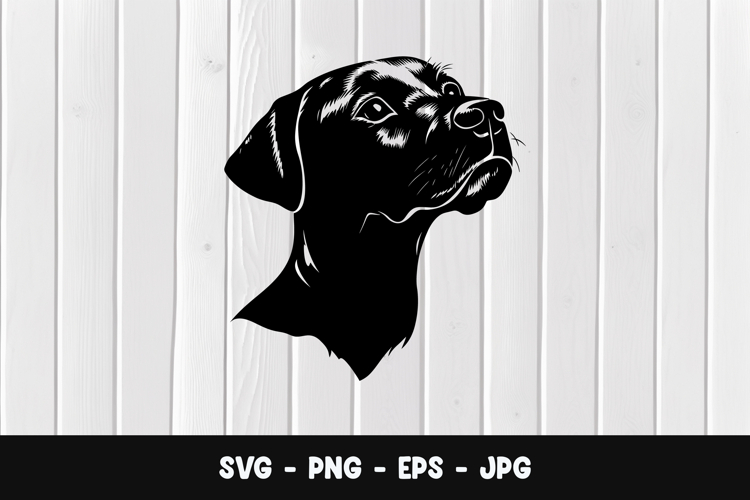 Puppy Illustration Image 23