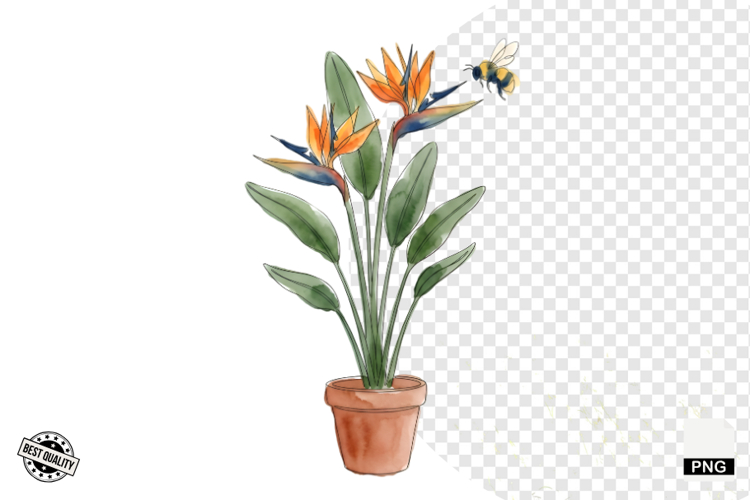 Birds Png Image 13