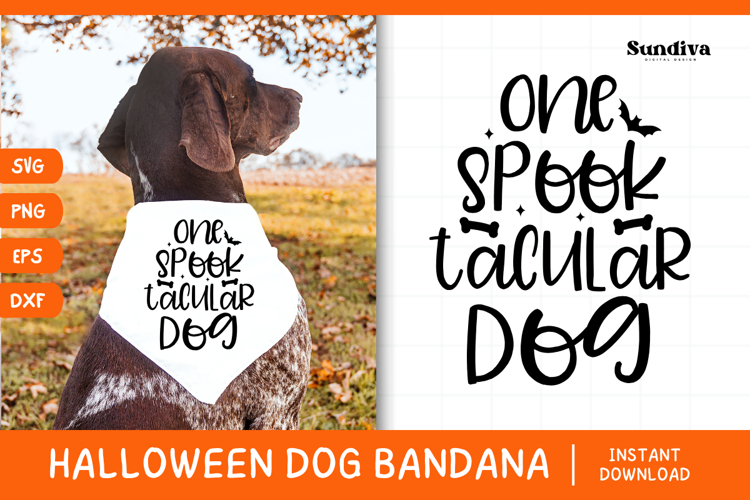 Bandana Clipart Image 23