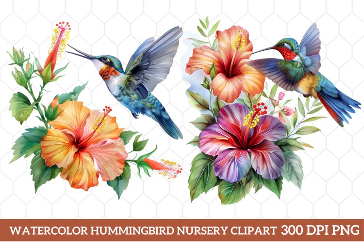 Hummingbird Clipart Image 16