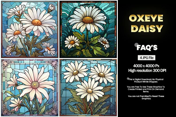Stained Glass Oxeye Daisy Square Coaster - 04 Variations