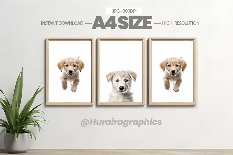 Animal Wall Art - 03 Variations