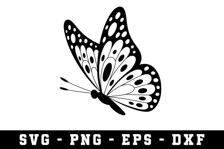 Butterfly SVG | SVG Cut files | Cricut