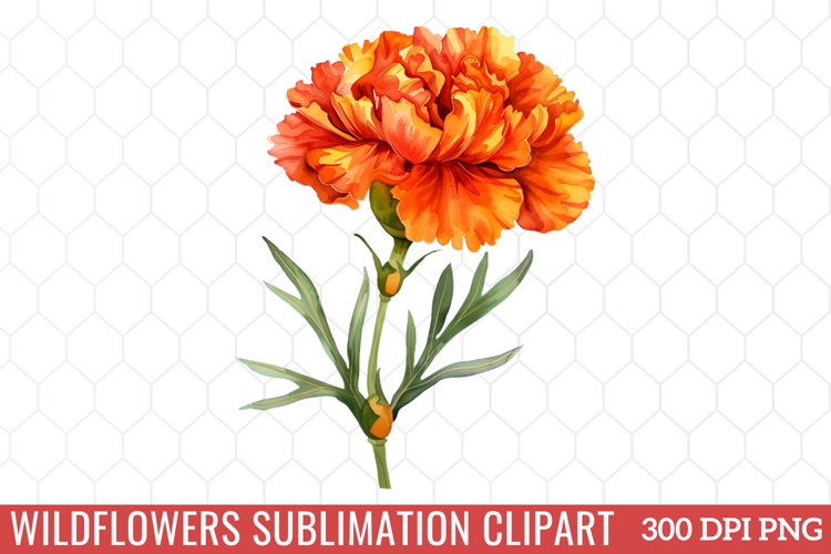 Spring Clipart Image 10