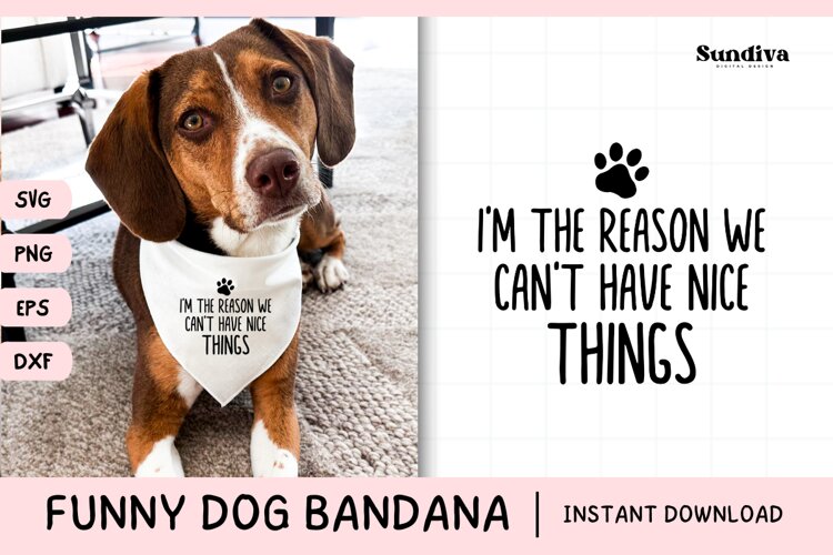 Funny Dog Bandana Quotes SVG | We Can't Have Nice Things