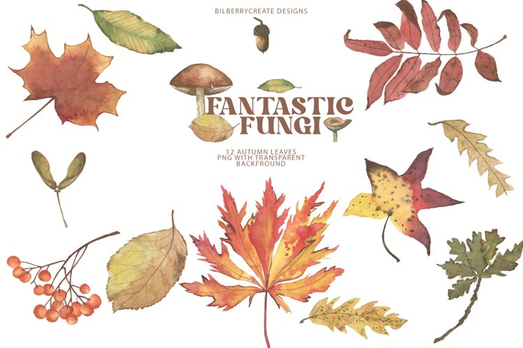 Watercolor Fall Leaves Clipart Fall Clipart Autumn Decor