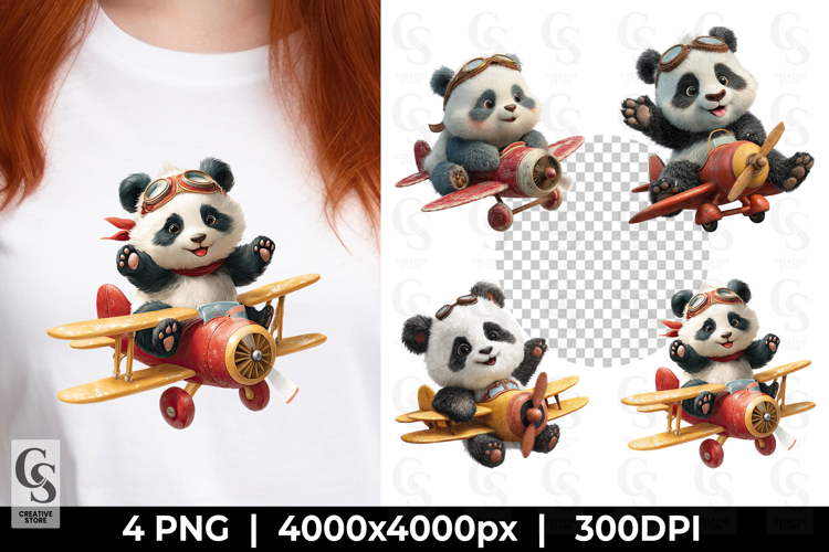Flugzeug Png Image 23