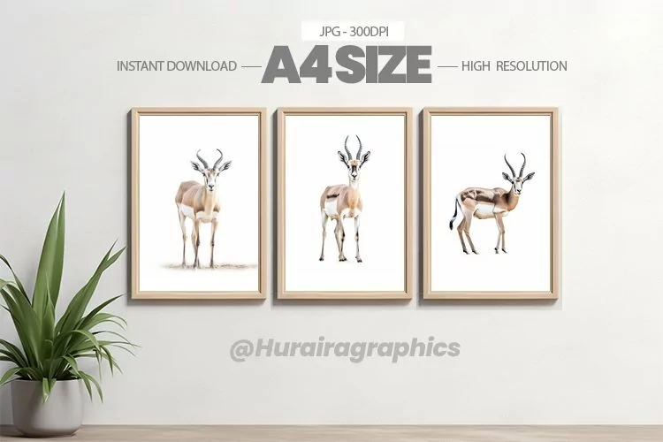 Animal Wall Art - 03 Variations