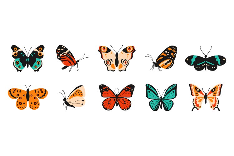 Insects Clipart Image 20