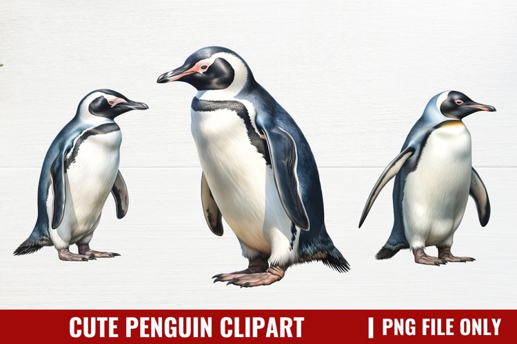 Cute Penguin Clipart Image 12