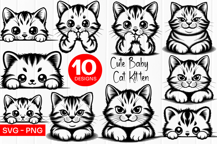 Adorable Kitten Faces Border Frame SVG PNG
