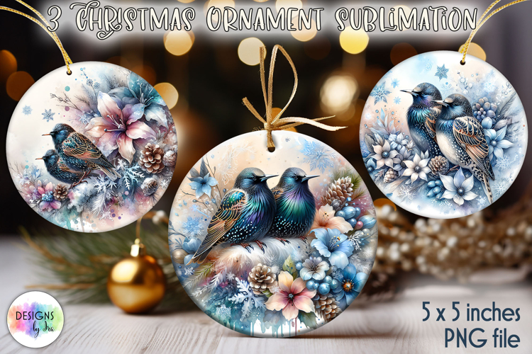Christmas Ornaments Sublimation, Winter Bird Christmas PNG