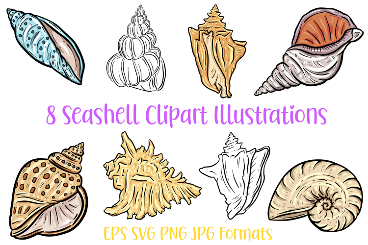 8 Seashell Clipart Illustrations Shells Ocean Collection SVG