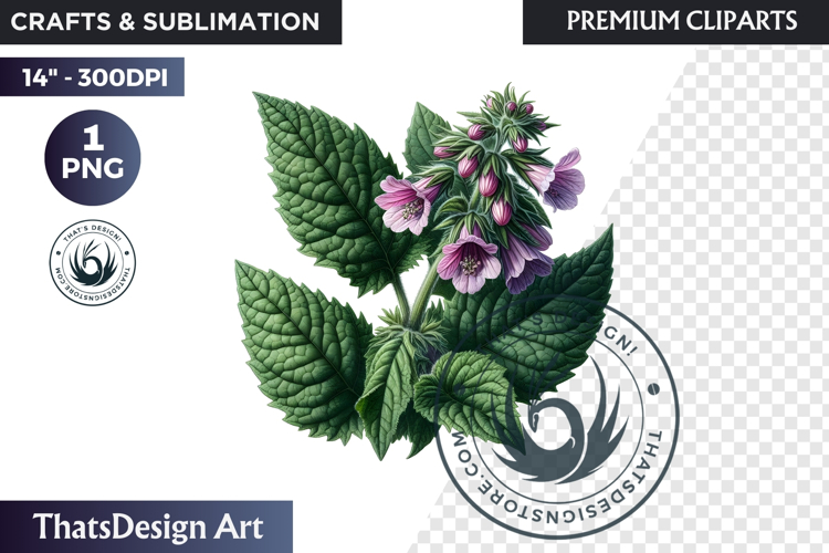 Medicinal Herbs clipart PNG, Apothecary Botanical Graphic