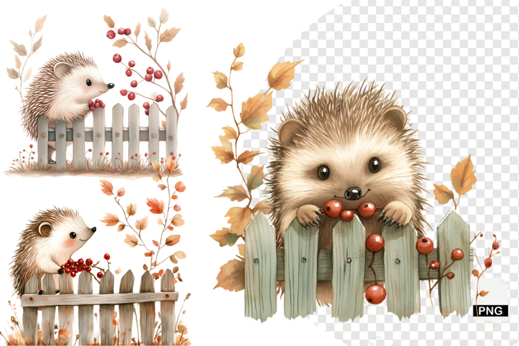 Woodland Clipart Image 14