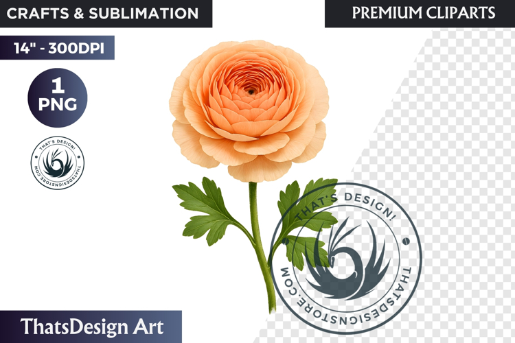 Flower Clipart PNG, Botanical Illustration Floral graphic