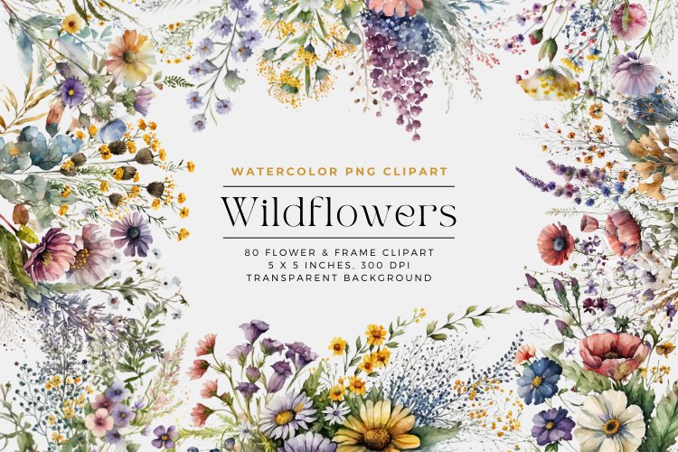Wildflower Png Image 6
