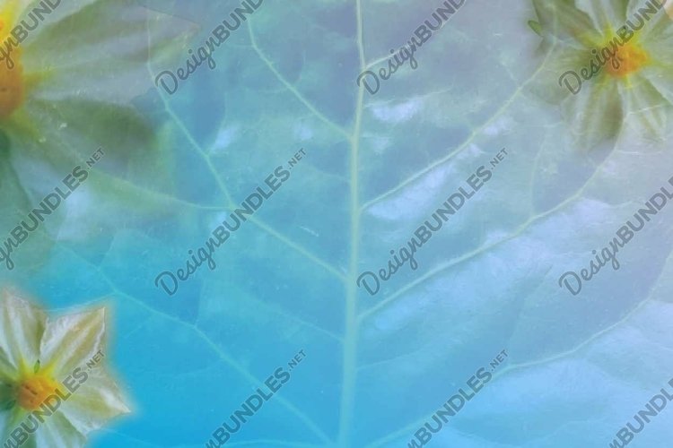 abstract floral sublimation   printing