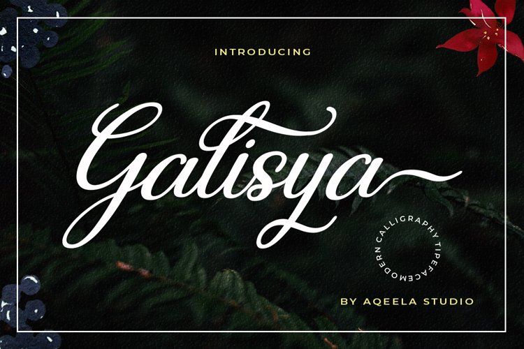 Galisya example image 1