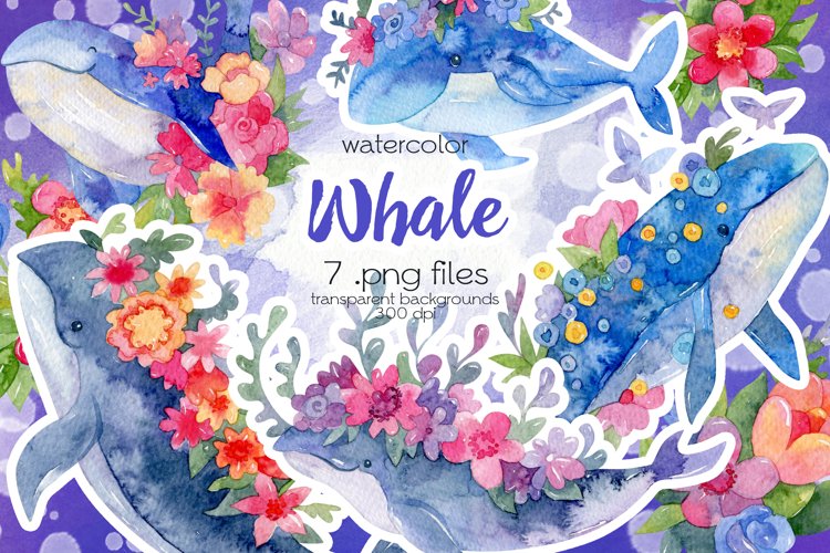 Whale Png Image 12