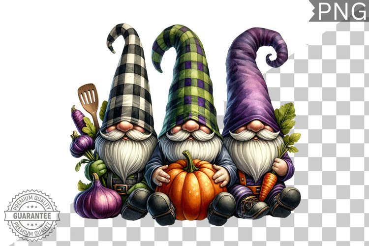 Gnome Clipart Image 15