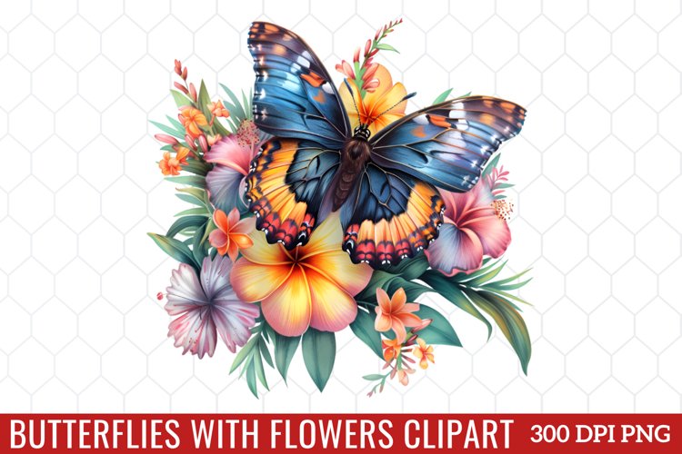 Butterfly Clipart Image 17