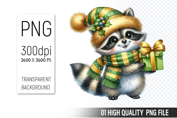 Raccoon Illustration Image 3
