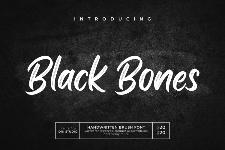 Black Bones-Brush Font example image 1