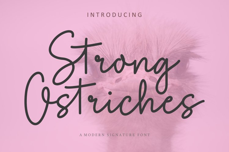 Strong Ostriches example image 1
