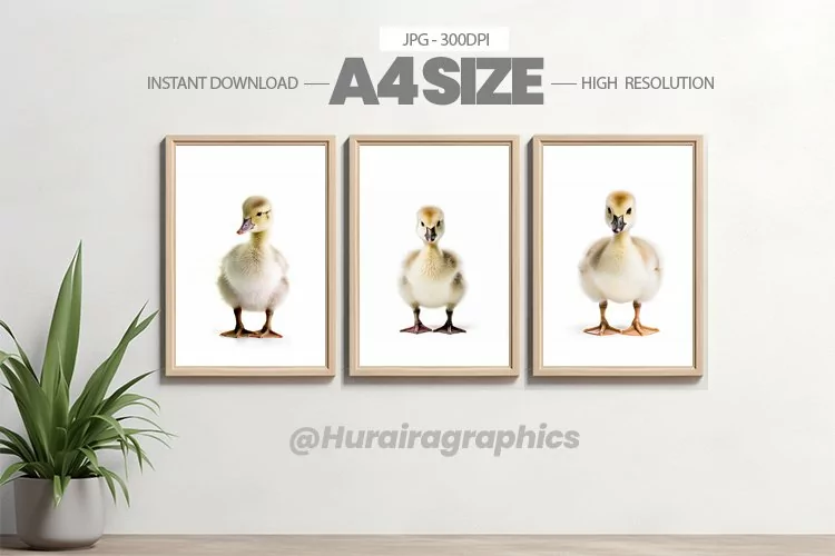 Animal Wall Art - 03 Variations
