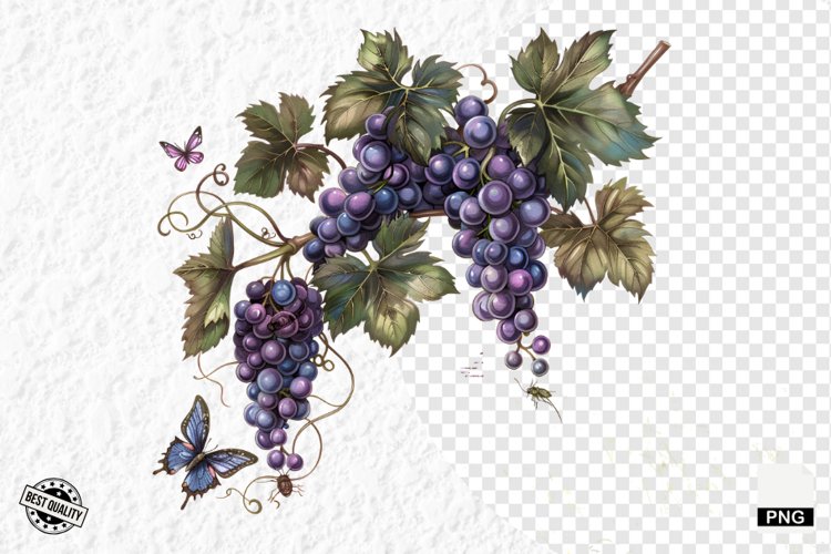 Summer Clipart Image 12