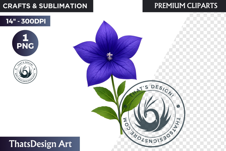 Flower Clipart PNG, Botanical Illustration Floral graphic