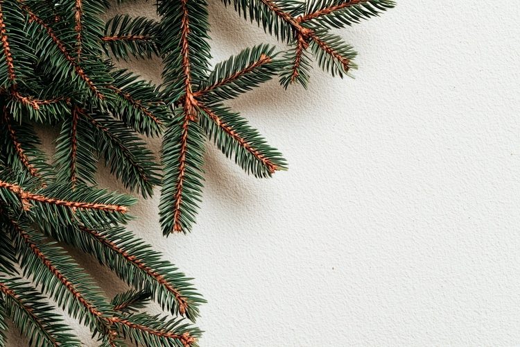 Pine Branches Background, Holiday Background Mockup