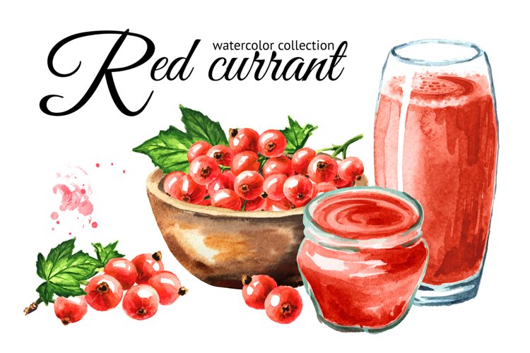 Red currant. Watercolor collection example image 1