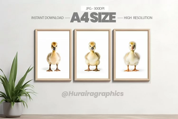 Animal Wall Art - 03 Variations