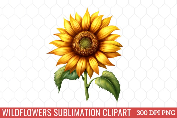 Wildflowers Sublimation Clipart