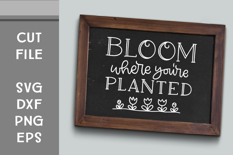 Bloom Where Youre Planted, Hand Lettered, Cut File