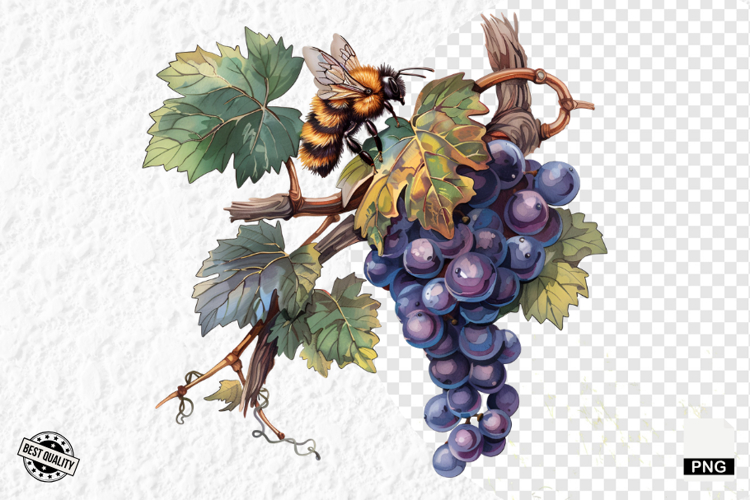 Summer Clipart Image 10