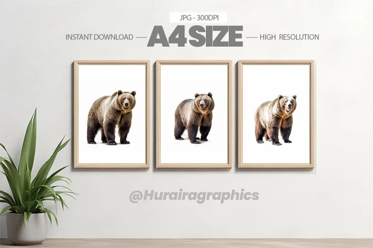 Animal Wall Art - 03 Variations