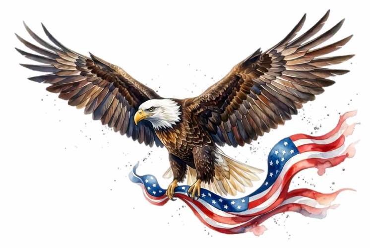 Bald Eagle Portrait Watercolor Clipart PNG