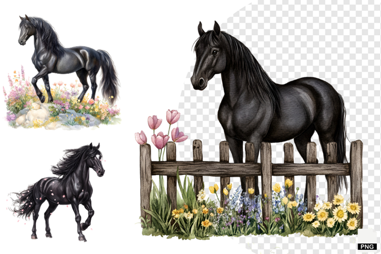Watercolor Horse PNG