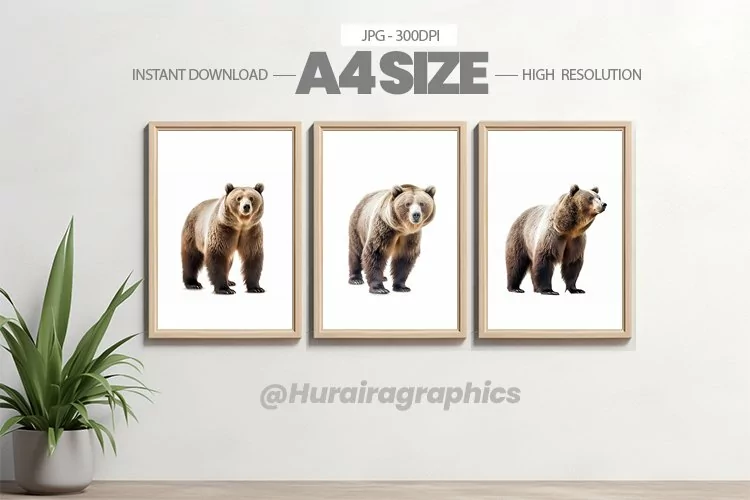 Animal Wall Art - 03 Variations