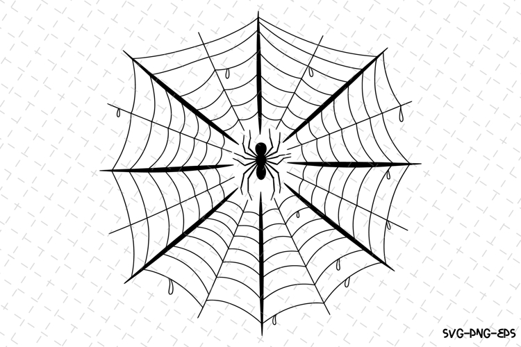 Spider Silhouette Image 14