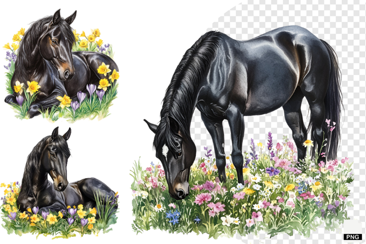Watercolor Horse PNG
